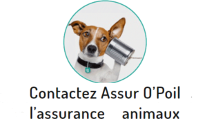 Assur O'Poil contact