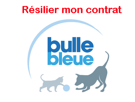Résiliation Bulle bleue