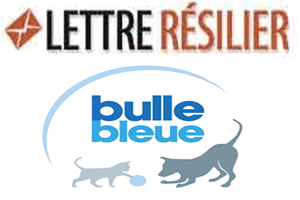 Adresse résiliation Bulle Bleue